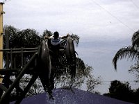 Florida - Tampa - Busch Gardens - Dolphins 3